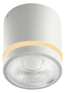 Moderné podhľadové svietidlo Vici IP44 CCT biela