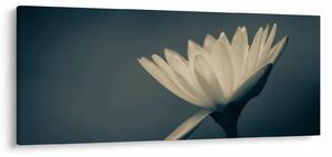 Obraz kvetu (120x50 cm)