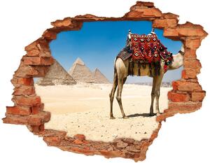 Nálepka 3D diera na stenu Camel v káhire nd-c-93235803