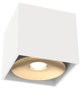 Moderné bodové svietidlo Cardi Small biela/zlatá