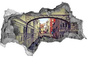 Fototapeta diera na stenu 3D Venice italy nd-b-70942066