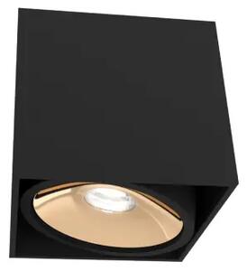Moderné bodové svietidlo Cardi I čierna/zlatá