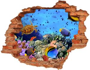 Nálepka 3D diera samolepiaca Koralový útes nd-c-35544351