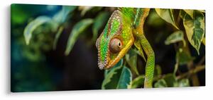 Obraz chameleóna (120x50 cm)
