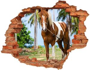 Diera 3D fototapeta na stenu Pinto kôň nd-c-100317732