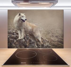 Panel lacobel Biely vlk na skale pl-pksh-100x70-f-60381309