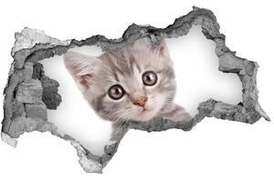 Diera 3D fototapeta na stenu Sivá mačka nd-b-80791907
