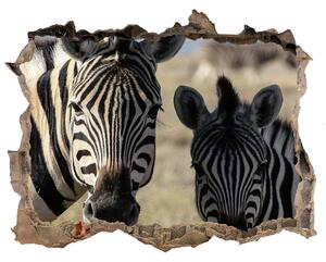 Díra 3D fototapeta nálepka Dve zebry nd-k-70684470