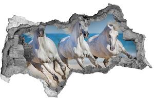 Nálepka fototapeta 3D White horse beach nd-b-95257914