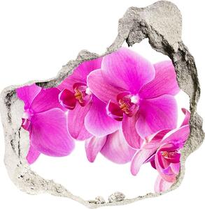 Diera 3D fototapety nálepka Ružová orchidea nd-p-67673367
