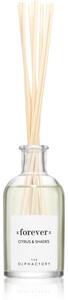 Ambientair The Olphactory Citrus & Shades aróma difuzér Forever 100 ml