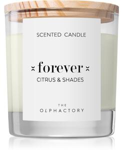 Ambientair The Olphactory Citrus & Shades vonná sviečka Forever 200 g