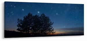Obraz stromov v noci (120x50 cm)