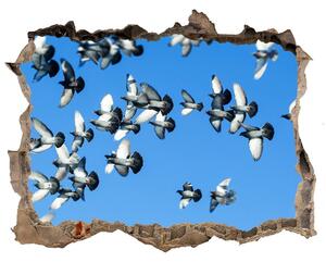 Samolepící díra na stěnu Kŕdeľ holubov nd-k-99282619