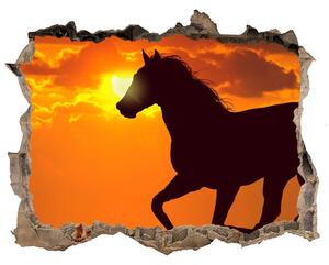 Díra 3D fototapeta na stěnu Kôň západu slnka