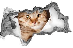 Diera 3D fototapeta na stenu nálepka Mačka nd-b-52539512