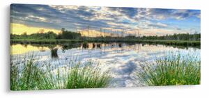 Obraz jazera s tŕstím (120x50 cm)
