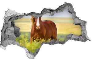 Diera 3D fototapeta nálepka Hnedý kôň nd-b-111439137