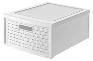 ZÁSUVKOVÝ BOX Rotho - Úložné boxy & dekoračné boxy