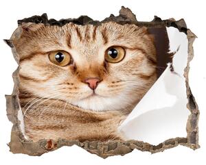 Díra 3D fototapeta na stěnu nálepka Mačka nd-k-52539512