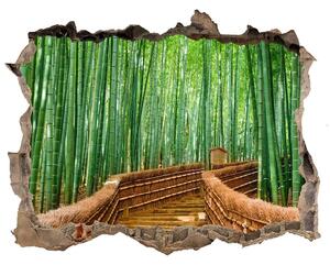 Díra 3D fototapeta na stěnu nálepka Bambusové lesy