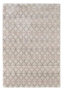 Mint Rugs - Hanse Home koberce Kusový koberec Grace 102597 - 120x170 cm