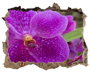 Samolepící díra nálepka Orchidea nd-k-64607986