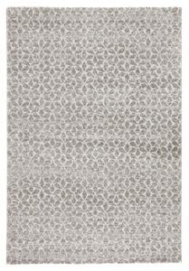 Mint Rugs - Hanse Home koberce Kusový koberec Stella 102603 - 120x170 cm