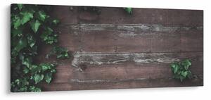 Obraz - Brečtan (120x50 cm)