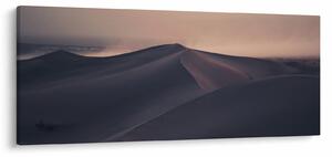 Obraz - Piesočné duny (120x50 cm)