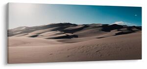 Obraz - Z púšte (120x50 cm)