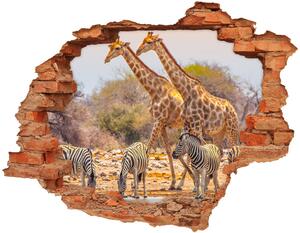 Samolepiaca nálepka Žirafy a zebry nd-c-99320619