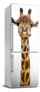Nálepka fototapeta chladnička Žirafa