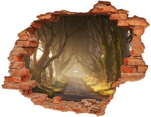 Nálepka 3D diera na stenu samolepiaca Hmla v lese