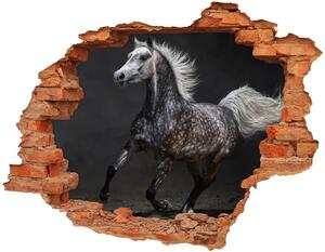 Diera 3D fototapeta nálepka Gray arabský kôň