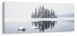 Obraz- Bolo bielo (120x50 cm)