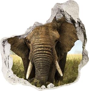 Nálepka fototapeta 3D výhľad Slon v savane nd-p-51170548