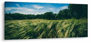 Obraz lúky a lesa (120x50 cm)