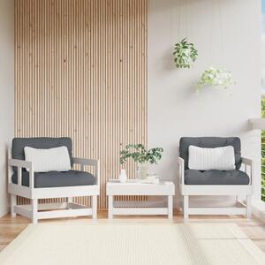Záhradné stoličky 2 ks biele borovicový masív