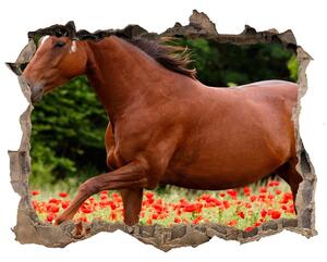 Díra 3D fototapeta nálepka Kôň v poli maku nd-k-85278470