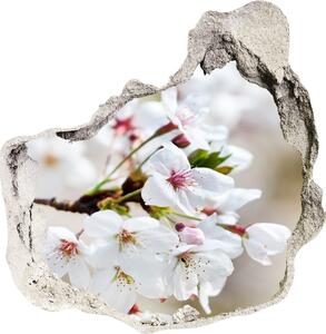 Samolepiaca diera na stenu Čerešňové kvety