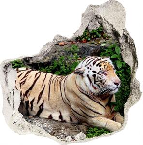 Diera 3D foto tapeta nálepka Tiger na skale nd-p-118161704