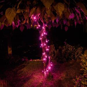 DECOLED LED svetelný reťaz 5 m, ružová, 50 diod, IP67