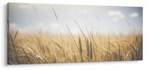 Obraz obilia (120x50 cm)