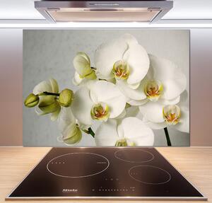 Panel do kuchyne Biela orchidea pl-pksh-100x70-f-67521473