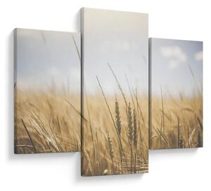 Obraz obilia (90x60 cm)