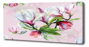 Foto obraz tlačený na plátne Kvety magnolie