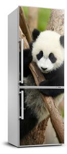 Nálepka fototapeta chladnička Panda na strome
