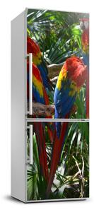 Foto nálepka na chladničku stenu Papagáje Ara