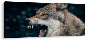 Obraz vlka (120x50 cm)